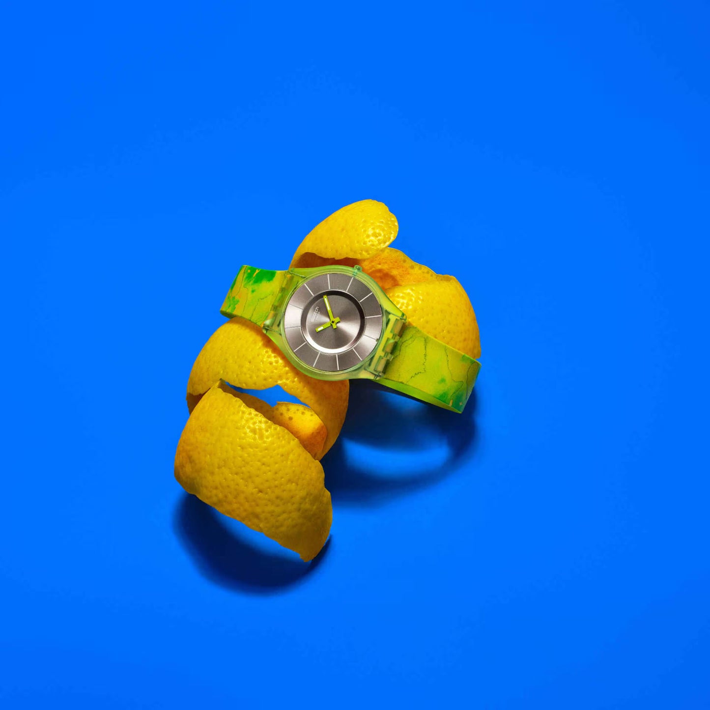 PARADISE CANOPY