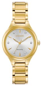 Citizen Corso FE2102-55A