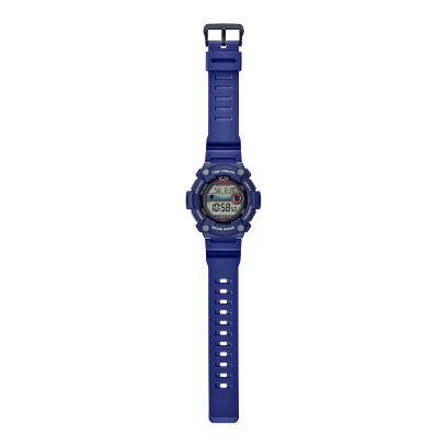 Reloj Casio WS1300H-2AVCF