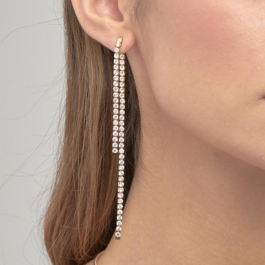 Earrings Desideri