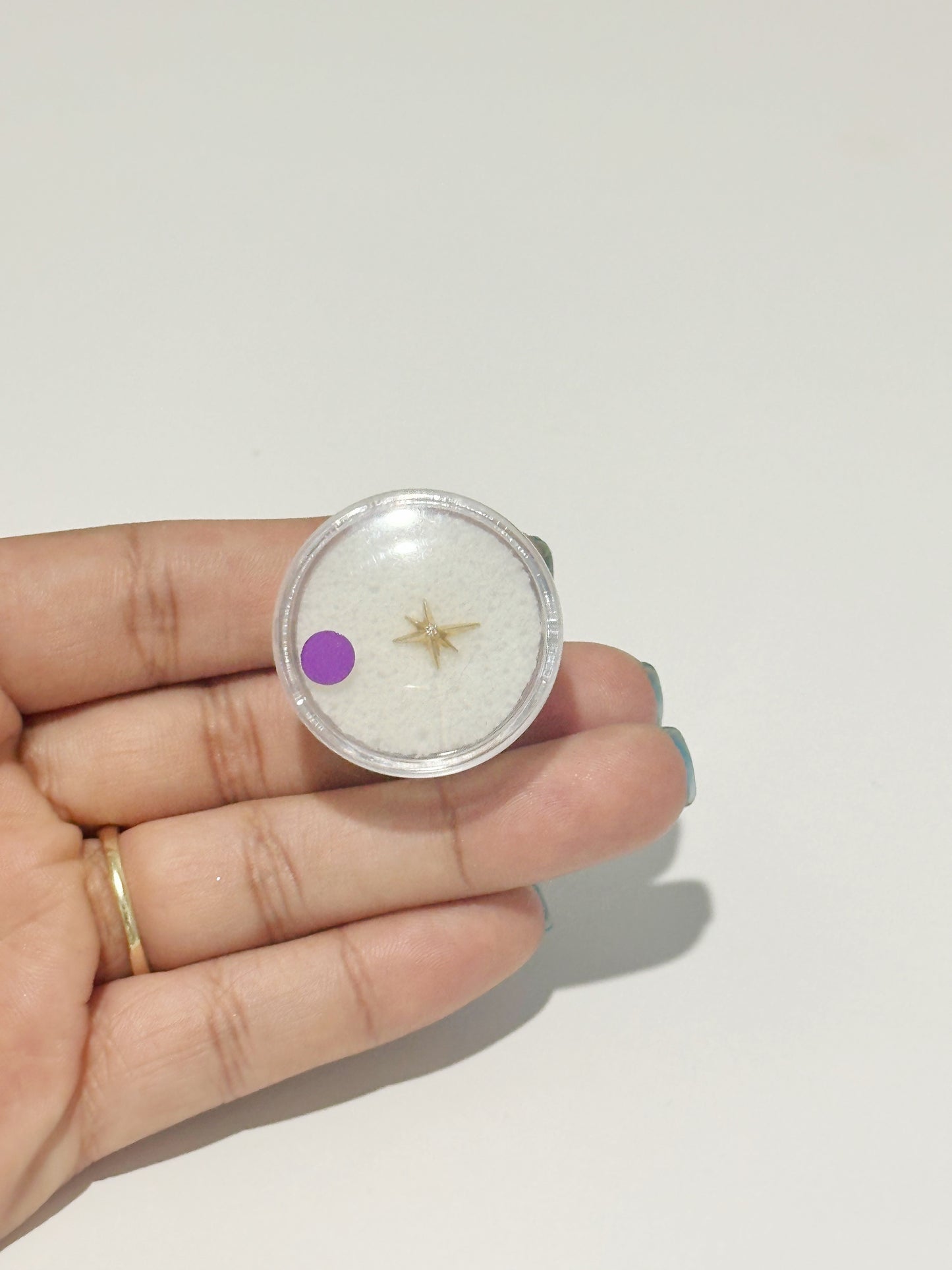 Piercing Estrella del Norte Larga con Zirconia Clear, Oro 14kt, Internal Thredded Closure