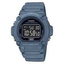 Standard Blue Casio