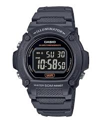 Casio W-219H-8BVCF