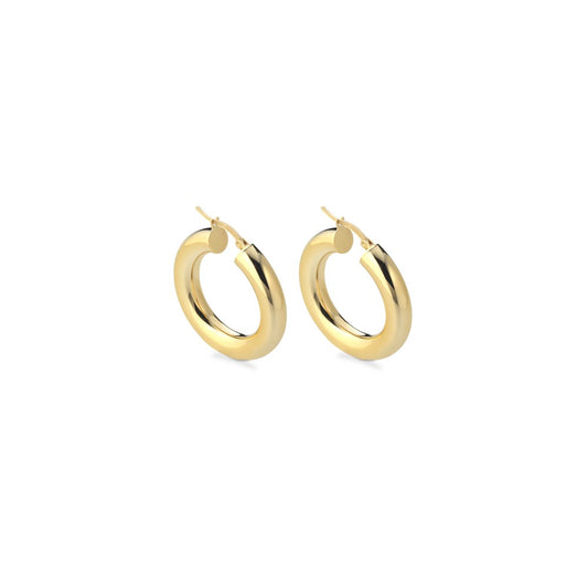 Round Golden Silver Earrings